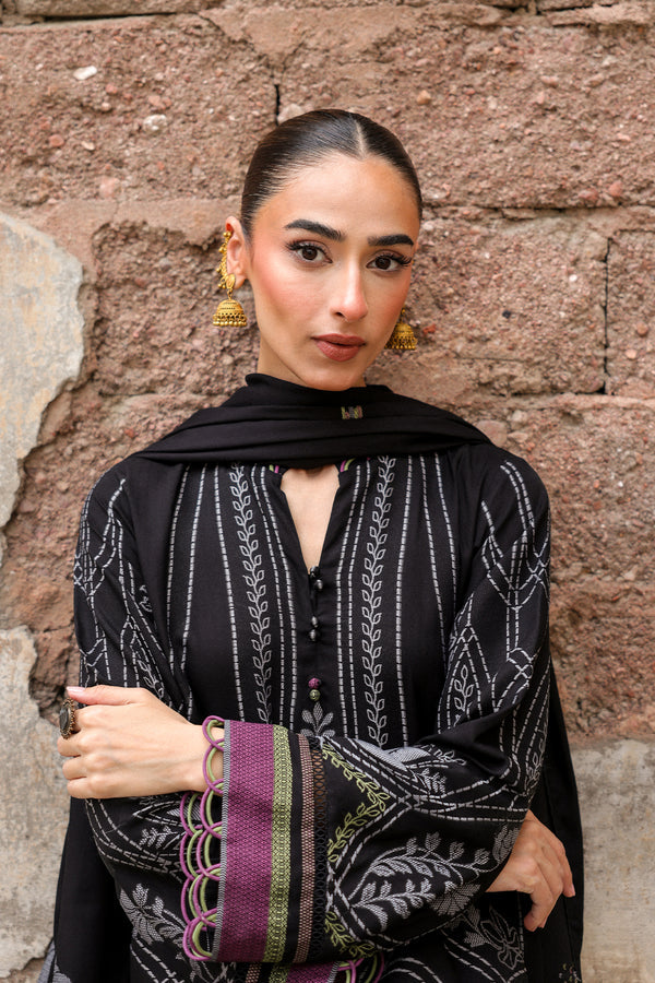 Sahar | winter 25 | Velour Noir -  Sahar Ladies Clothes - Original Designer Dress - House of Maryam