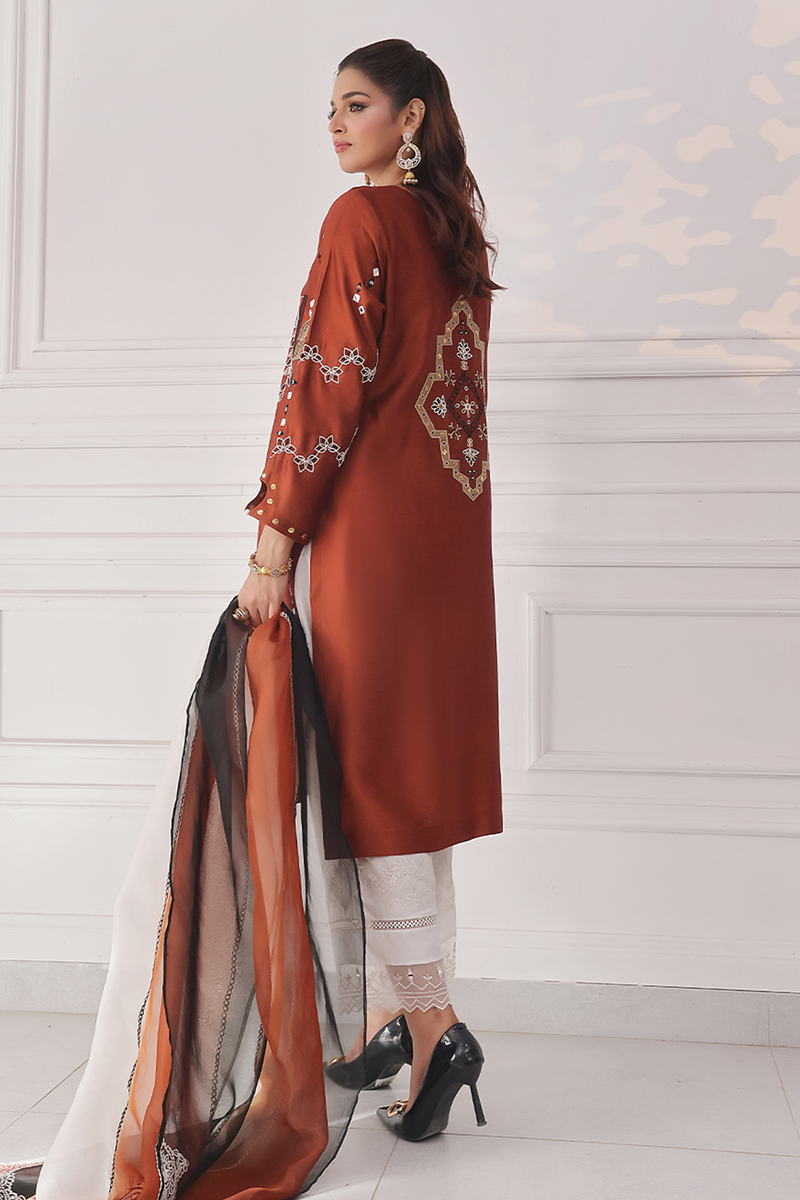 Mona Imran | Ayla Eid Edit | Raeesa -  MONA IMRAN Ladies Clothes - Original Designer Dress - House of Maryam