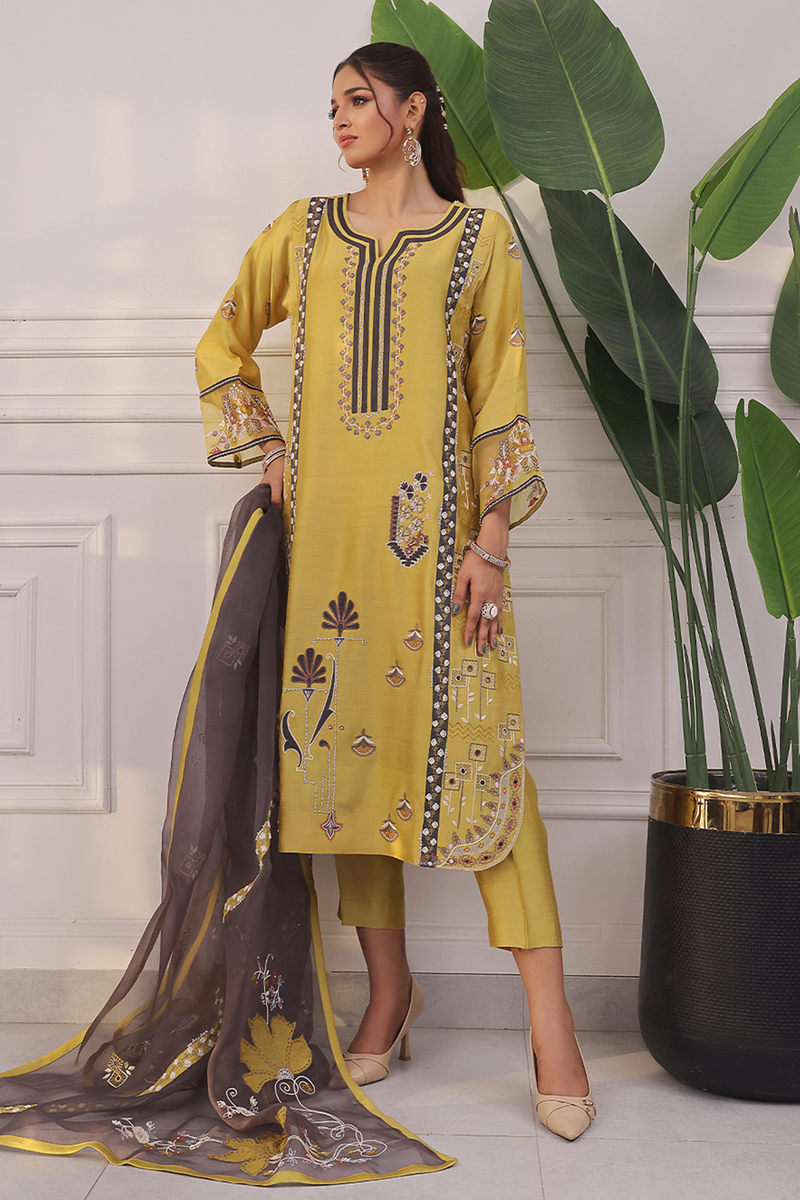 Mona Imran | Ayla Eid Edit | Zareen -  MONA IMRAN Ladies Clothes - Original Designer Dress - House of Maryam