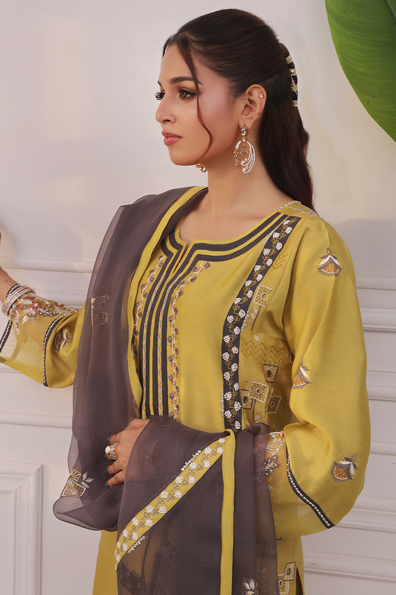 Mona Imran | Ayla Eid Edit | Zareen -  MONA IMRAN Ladies Clothes - Original Designer Dress - House of Maryam