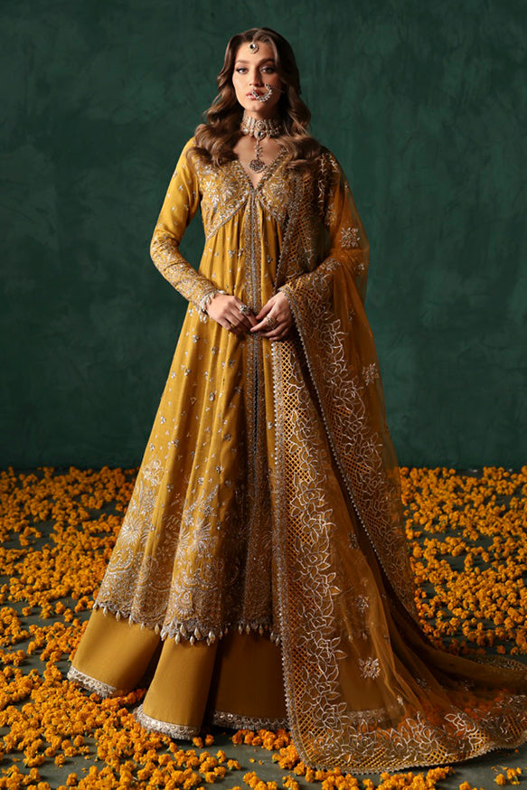 Afrozeh | Divani Silk Edit 25 | Jahanbano -  Afrozeh Ladies Clothes - Original Designer Dress - House of Maryam