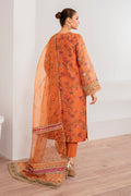 Baroque | Velvet Formals | COTTON NET UF-701 -  Baroque Ladies Clothes - Original Designer Dress - House of Maryam