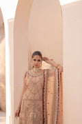 House of Nawab | Miorah Formals | ZIDHAR - B -  House of Nawab Ladies Clothes - Original Designer Dress - House of Maryam