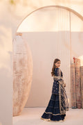 House of Nawab | Miorah Formals | IRAMMA - A -  House of Nawab Ladies Clothes - Original Designer Dress - House of Maryam