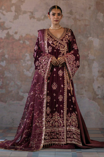 Emaan Adeel | Saanjh Velvet Collection 24 | Tanish - Emaan Adeel Ladies Clothes - Original Designer Dress - House of Maryam