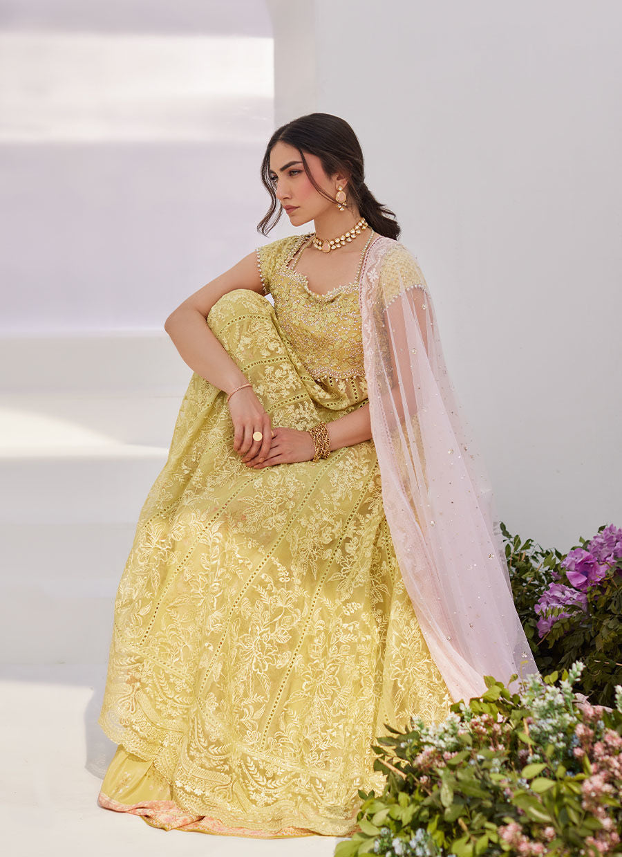 Farah Talib Aziz | Zaza Luxe Pret 24 | REINE KIWI EMBROIDERED EMBELLISHED KALIDAAR -  Farah Talib Aziz Luxury - Original Designer Dress - House of Maryam