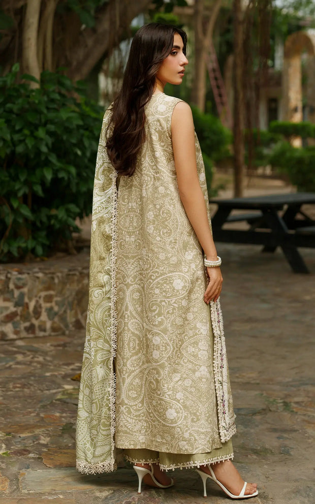 Asifa and Nabeel | Meraki Winter 25 | Frozen Dew