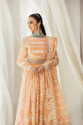 House of Nawab | Gul Mira Luxury Collection 23 | Meshki -  House of Nawab Bridal - Original Designer Dress - House of Maryam