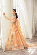 House of Nawab | Gul Mira Luxury Collection 23 | Meshki -  House of Nawab Bridal - Original Designer Dress - House of Maryam