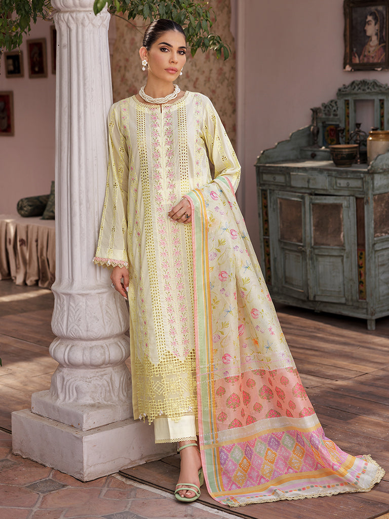 Rajbari | Nissa Chikankari Edition 25 | D# - 09 -  Rajbari Ladies Clothes - Original Designer Dress - House of Maryam