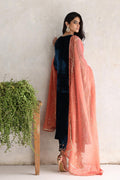 Sana Abbas | Velvet Formals | NINA -  Sana Abbas Ladies Clothes - Original Designer Dress - House of Maryam