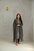 Taana Baana | Manzil Winter |  S3390A -  Taana Baana Ladies Clothes - Original Designer Dress - House of Maryam
