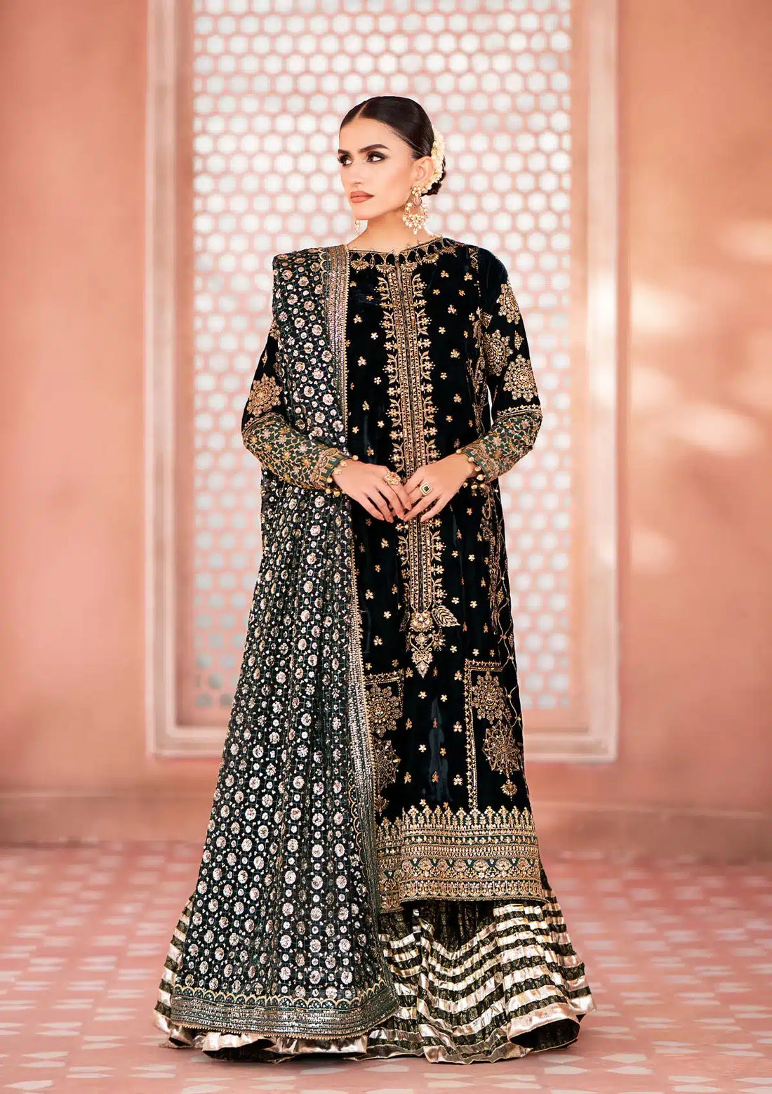 Aik Atelier | Zardozi Velvet 23 | 05 -  Aik Atelier Formal - Original Designer Dress - House of Maryam