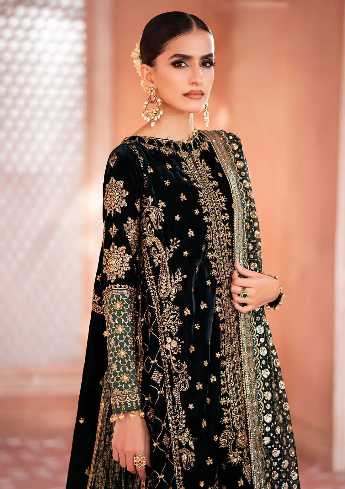 Aik Atelier | Zardozi Velvet 23 | 05 -  Aik Atelier Formal - Original Designer Dress - House of Maryam