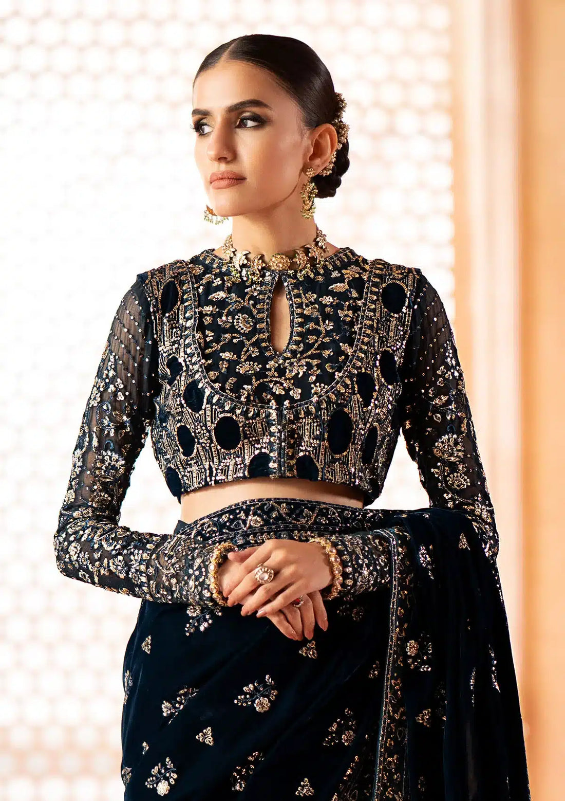 Aik Atelier | Zardozi Velvet 23 | 06 -  Aik Atelier Formal - Original Designer Dress - House of Maryam