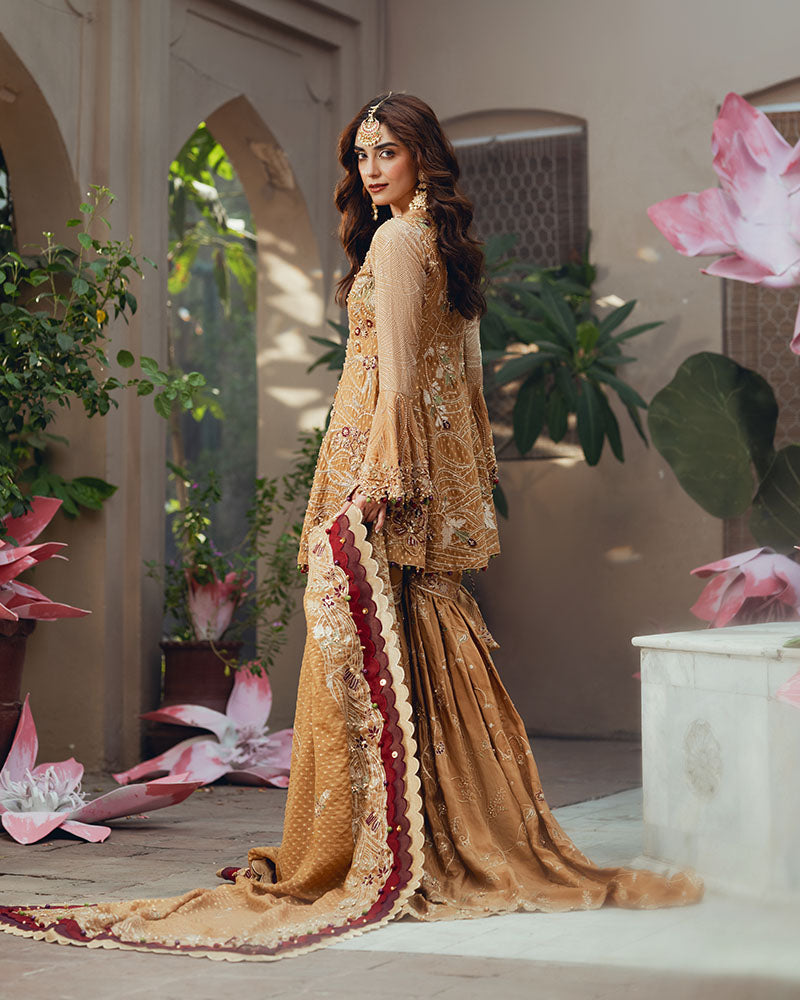 Ain | Naulakha Wedding Festive 24 |   AR-143 KESAR -  Ain Ladies Clothes - Original Designer Dress - House of Maryam