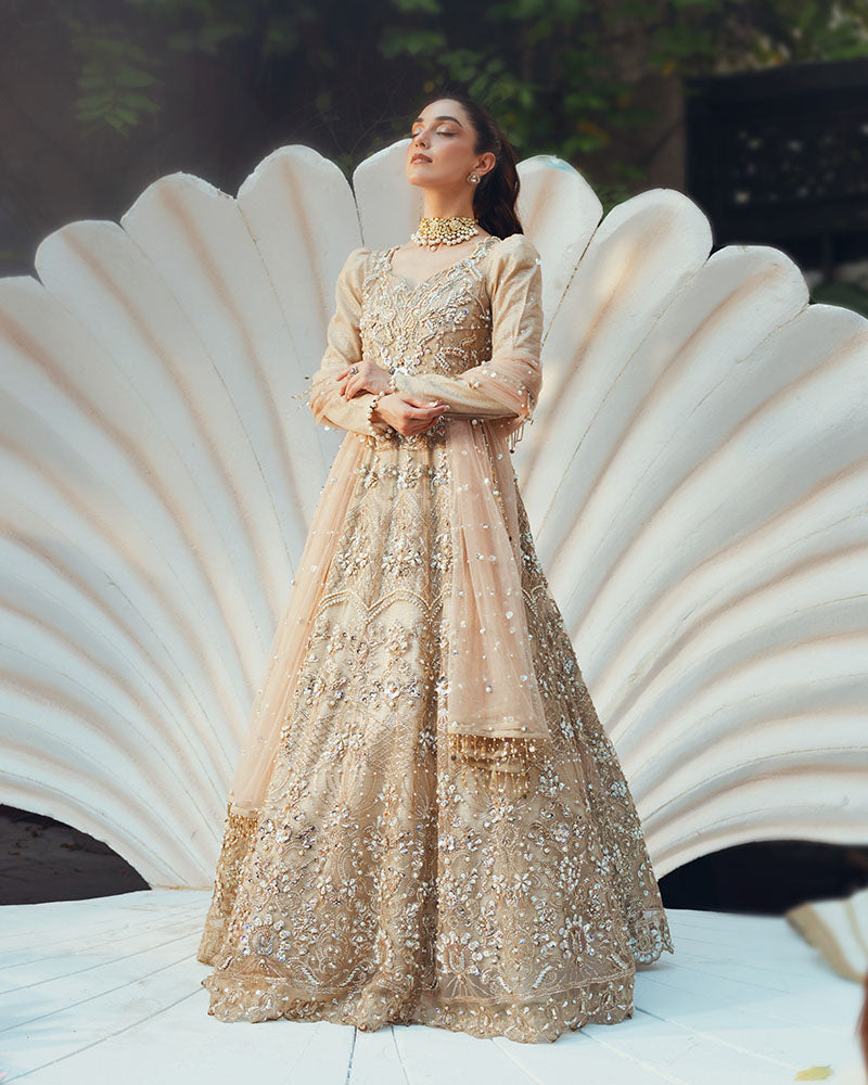 Ain | Naulakha Wedding Festive 24 |  AR-144 SHELL -  Ain Ladies Clothes - Original Designer Dress - House of Maryam