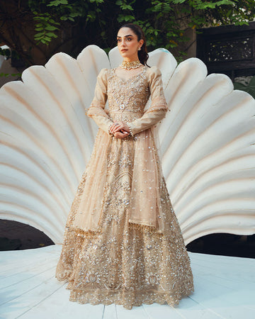 Ain | Naulakha Wedding Festive 24 | AR-144 SHELL - Ain Ladies Clothes - Original Designer Dress - House of Maryam