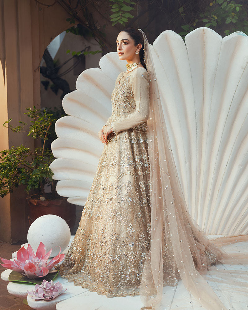 Ain | Naulakha Wedding Festive 24 |  AR-144 SHELL -  Ain Ladies Clothes - Original Designer Dress - House of Maryam