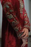 Saira Rizwan | Riona Luxury Formals | Julie -  Saira Rizwan Formal - Original Designer Dress - House of Maryam
