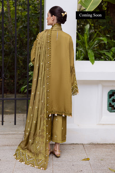 Marjjan | Lovella Winter 25 | MEV-43 A (OLIVE)