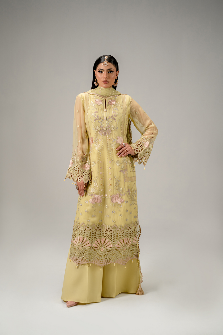 Zebtan | Aura Formals | AR-03 -  Zebtan Ladies Clothes - Original Designer Dress - House of Maryam