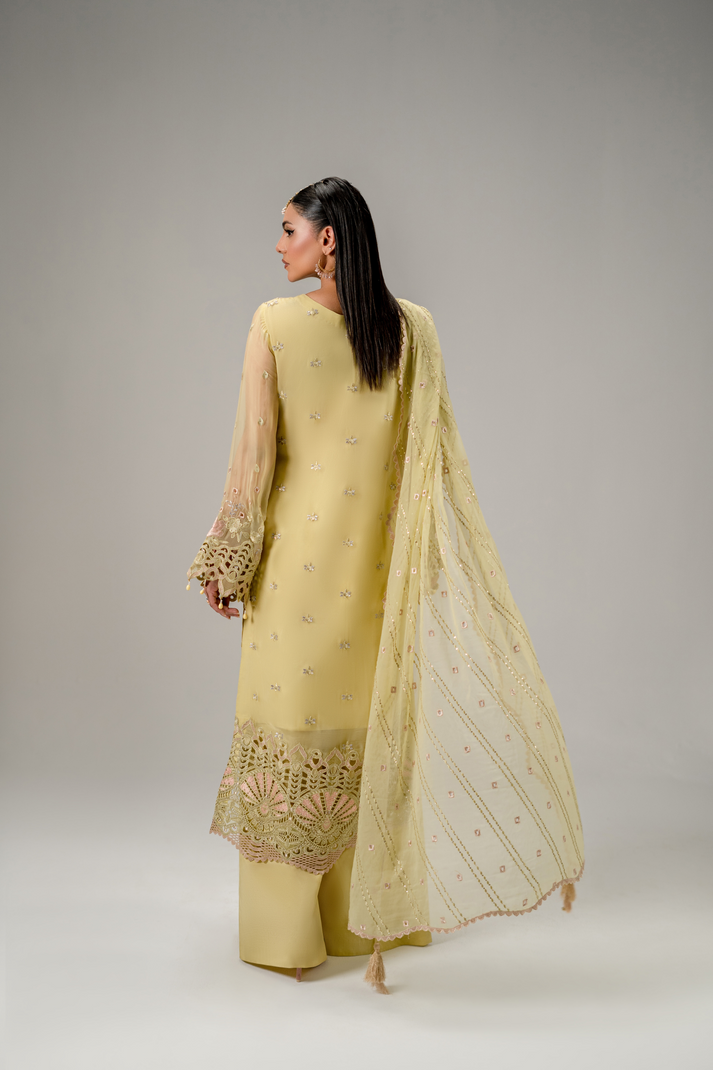 Zebtan | Aura Formals | AR-03 -  Zebtan Ladies Clothes - Original Designer Dress - House of Maryam
