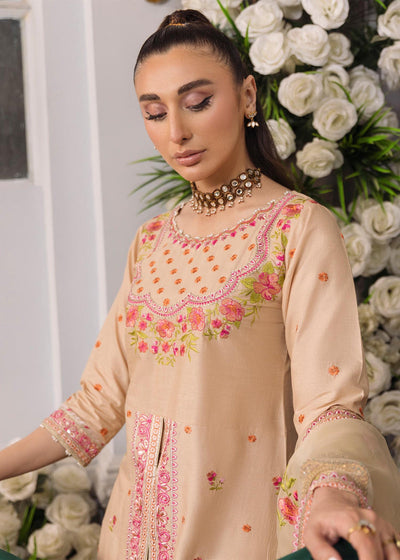 Daud Abbas | Formals Collection | Naimal -  Daud Abbas Formal - Original Designer Dress - House of Maryam