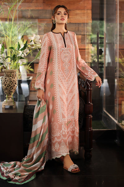 Aisha Imran | Printed Panache | Ilhan