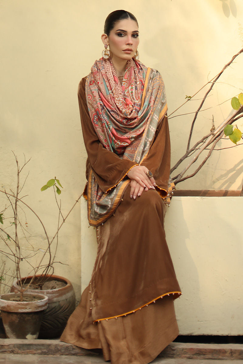Aisha Imran | Printed Panache Velvet Shawls 25 | Myra Shirt and Pants, image 5