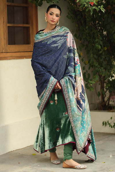 Aisha Imran | Printed Panache Velvet Shawls 25 | Nayra Velvet Shawl