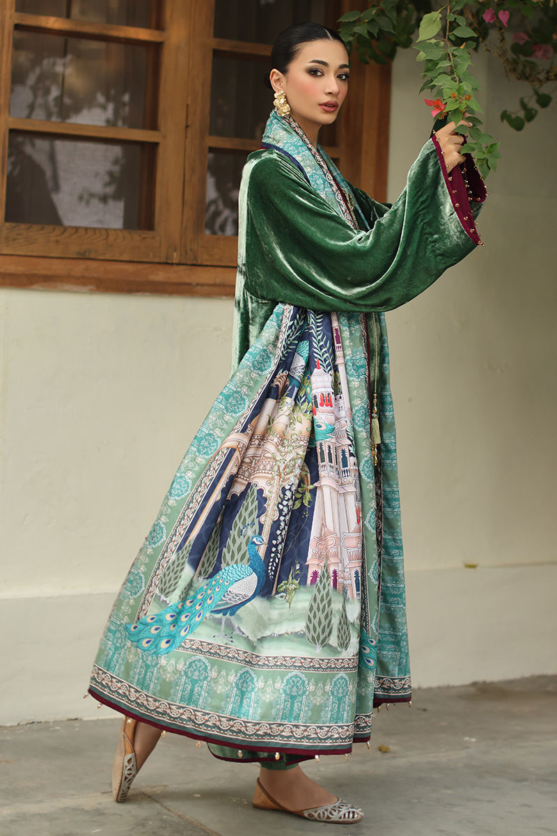 Aisha Imran | Printed Panache Velvet Shawls 25 | Nayra Velvet Shawl, image 2