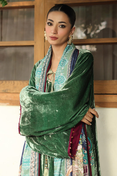 Aisha Imran | Printed Panache Velvet Shawls 25 | Nayra Velvet Shawl