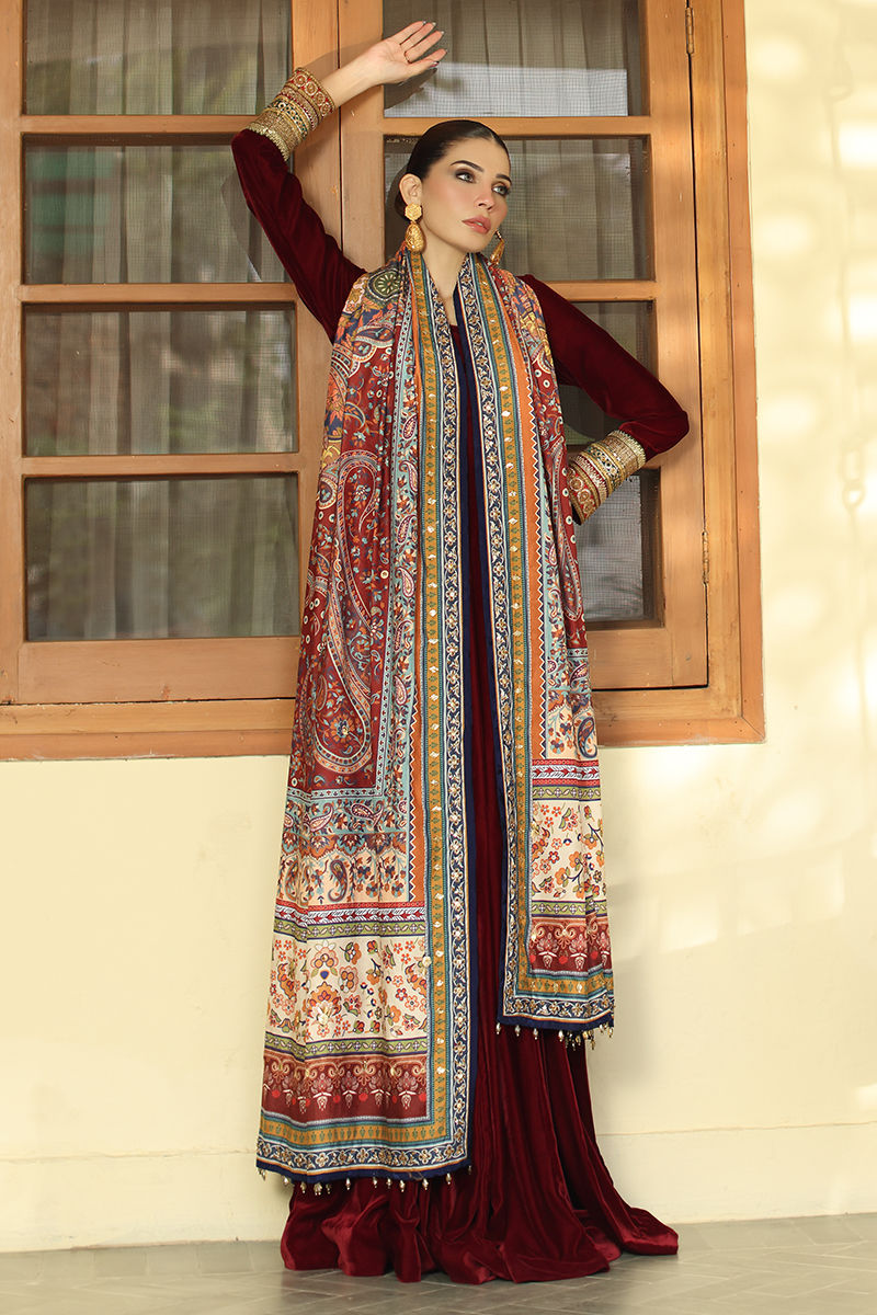 Aisha Imran | Printed Panache Velvet Shawls 25 | Maelin Velvet Shawl, image 4