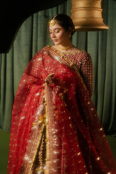 MNR | Zarlish Festive Formals | Bia -  MNR Ladies Clothes - Original Designer Dress - House of Maryam