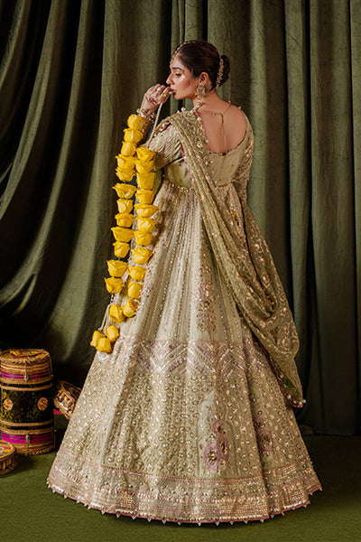 MNR | Zarlish Festive Formals | Mastani -  MNR Ladies Clothes - Original Designer Dress - House of Maryam