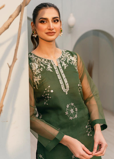 Daud Abbas | Formals Collection | Saboor -  Daud Abbas Formal - Original Designer Dress - House of Maryam