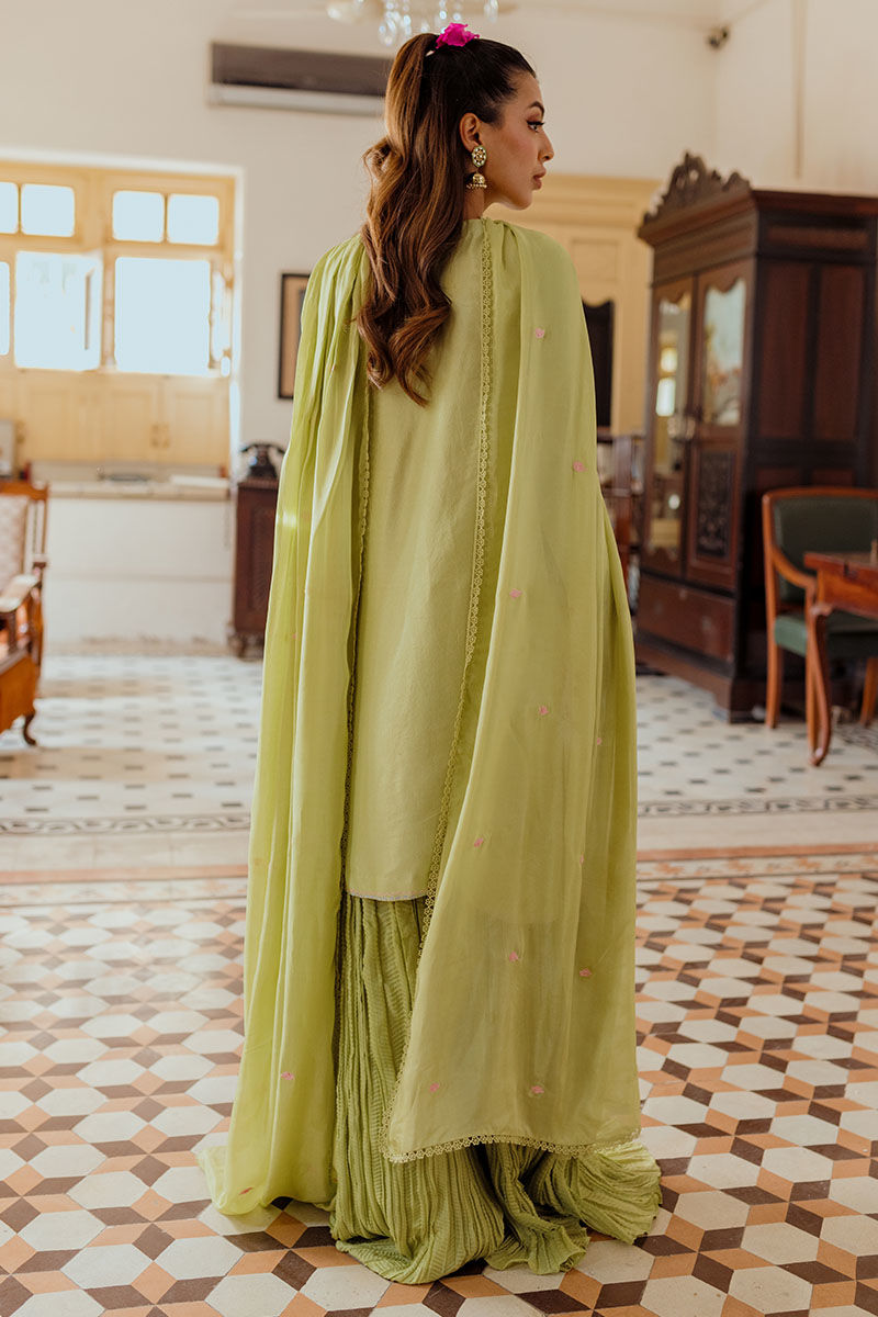 Ansab Jahangir | Luxe Pret Eid 24 | Leena by Designer Ansab Jahangir - House of Maryam - Pakistani Designer Ethnic Wear in {{ shop.shopifyCountryName }}