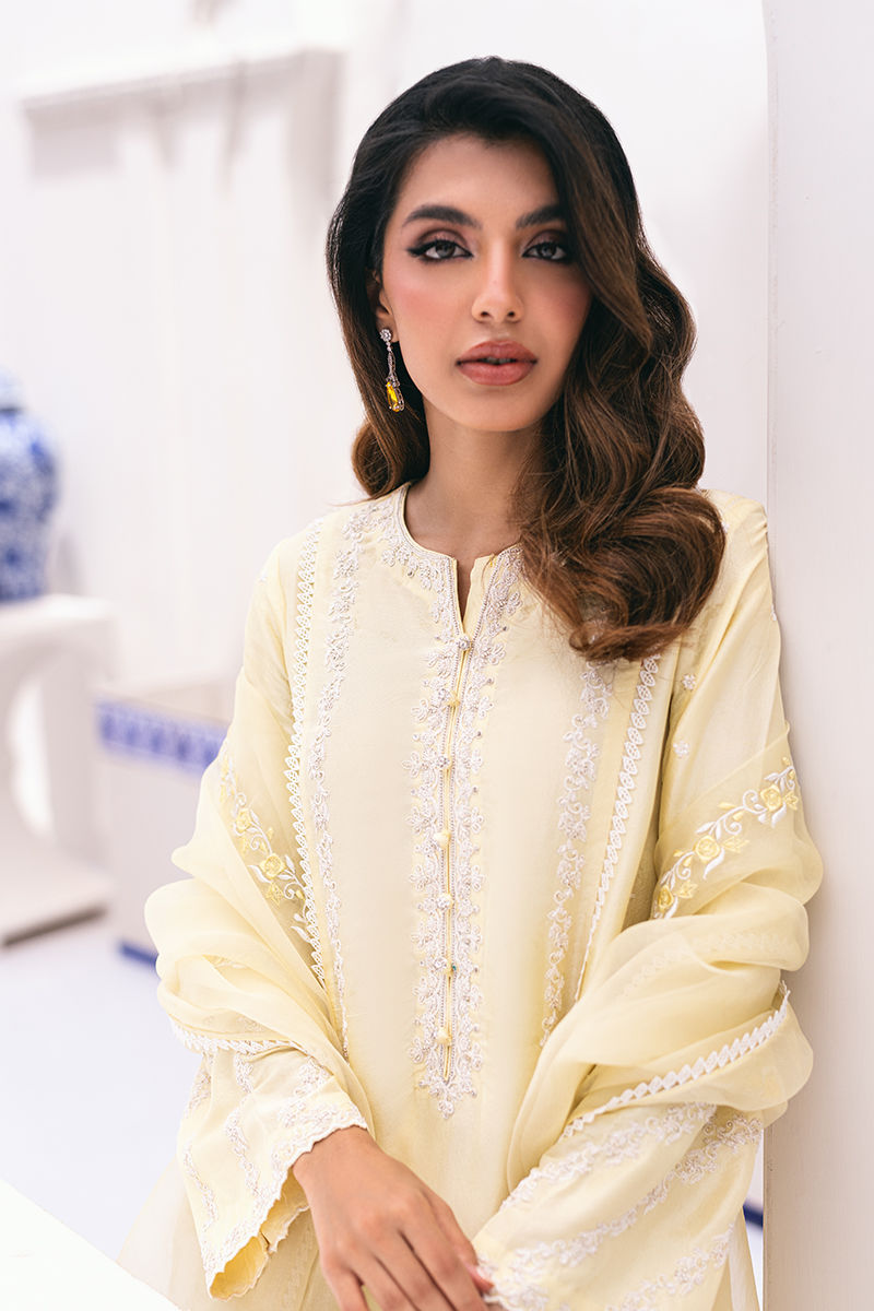 Ansab Jahangir | Luxe Pret Signature | BANEEN by Designer Ansab Jahangir - House of Maryam - Pakistani Designer Ethnic Wear in {{ shop.shopifyCountryName }}