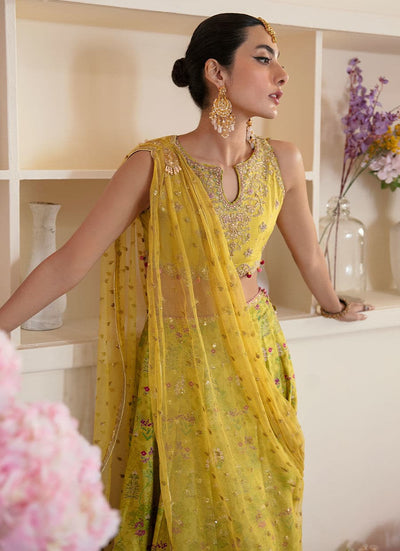 Farah Talib Aziz | Mayna Festive Luxe | ELIKA LIME -  Farah Talib Aziz Bridal - Original Designer Dress - House of Maryam