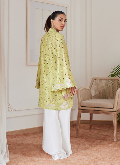 Farah Talib Aziz | Luna Eid Collection 24 | ABIGAIL KIWI -  Farah Talib Aziz Luxury - Original Designer Dress - House of Maryam