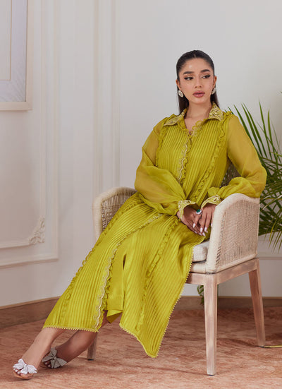 Farah Talib Aziz | Luna Eid Collection 24 | FAUSTINE KIWI -  Farah Talib Aziz Luxury - Original Designer Dress - House of Maryam