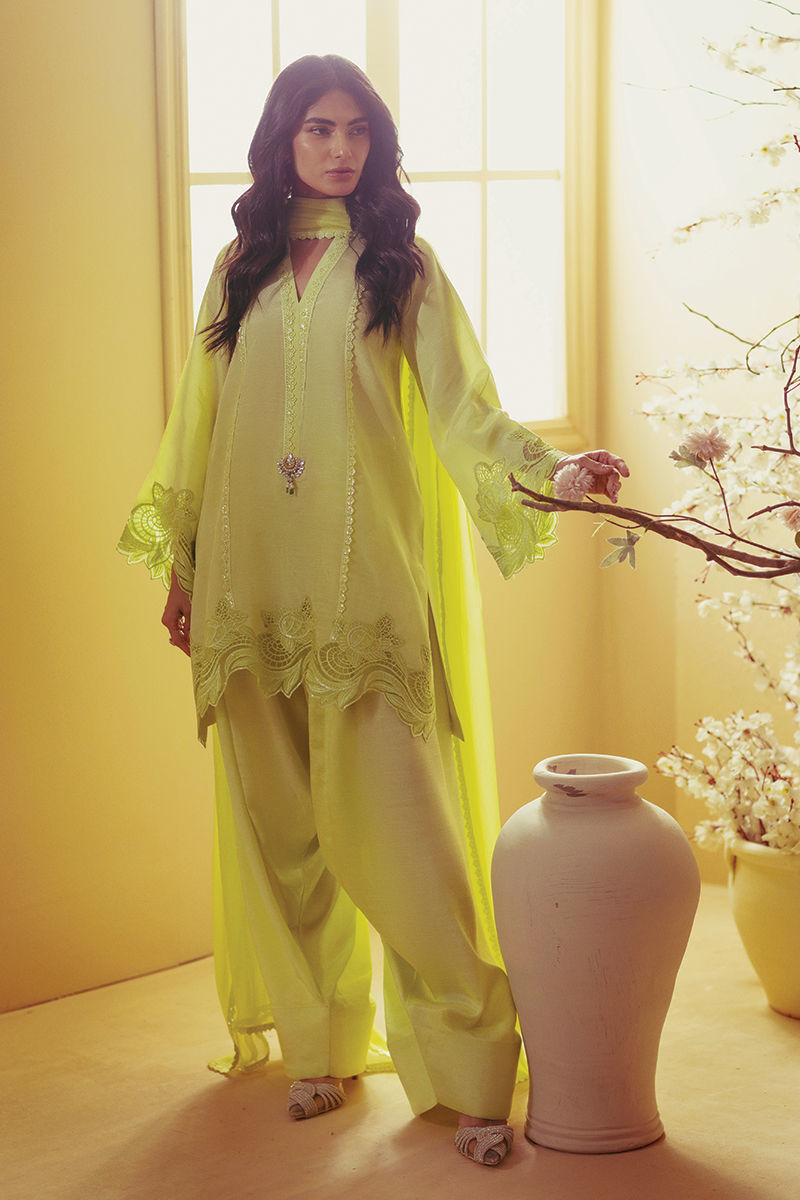Annus Abrar | Eid Elemental Festive | Deeha -  Annus Abrar Ladies Clothes - Original Designer Dress - House of Maryam