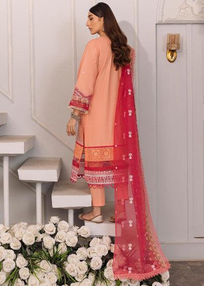 Daud Abbas | Formals Collection | Mehrma -  Daud Abbas Formal - Original Designer Dress - House of Maryam