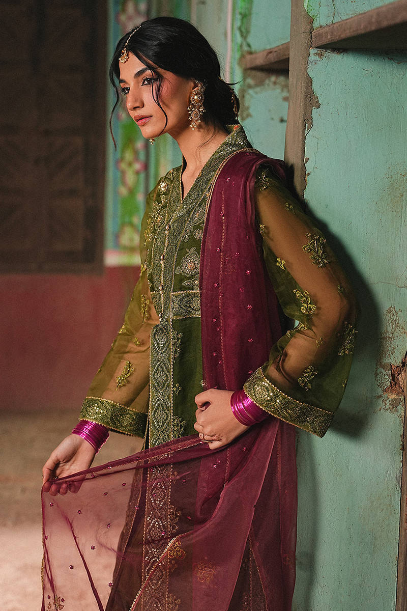 MNR | Farid Manzil Luxury Pret 26 | Ronak-e-Bahar, image 4