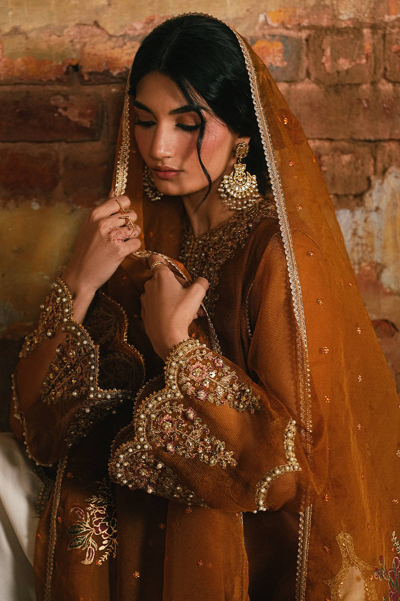 MNR | Farid Manzil Luxury Pret 26 | Rang-e-Bahar-4