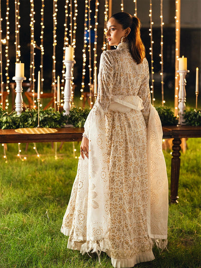 Salitex | Signature Festive Chiffon | UNS25WW002UT -  Salitex Ladies Clothes - Original Designer Dress - House of Maryam