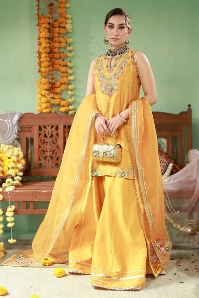 Ansab Jahangir | The Rani Edit | Arooba