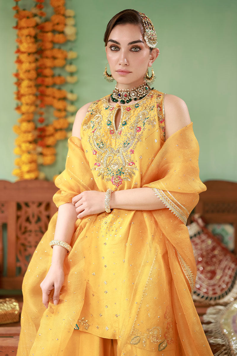 Ansab Jahangir | The Rani Edit | Arooba, image 3
