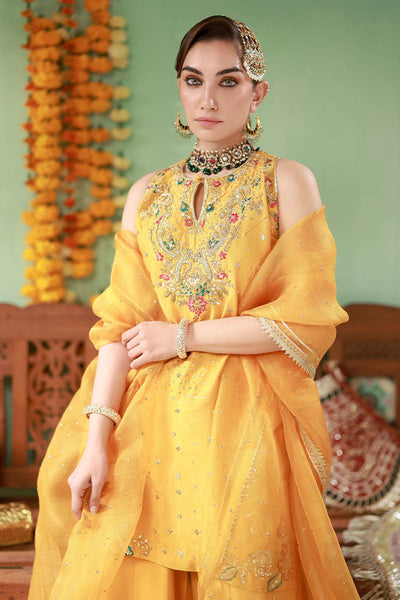 Ansab Jahangir | The Rani Edit | Arooba